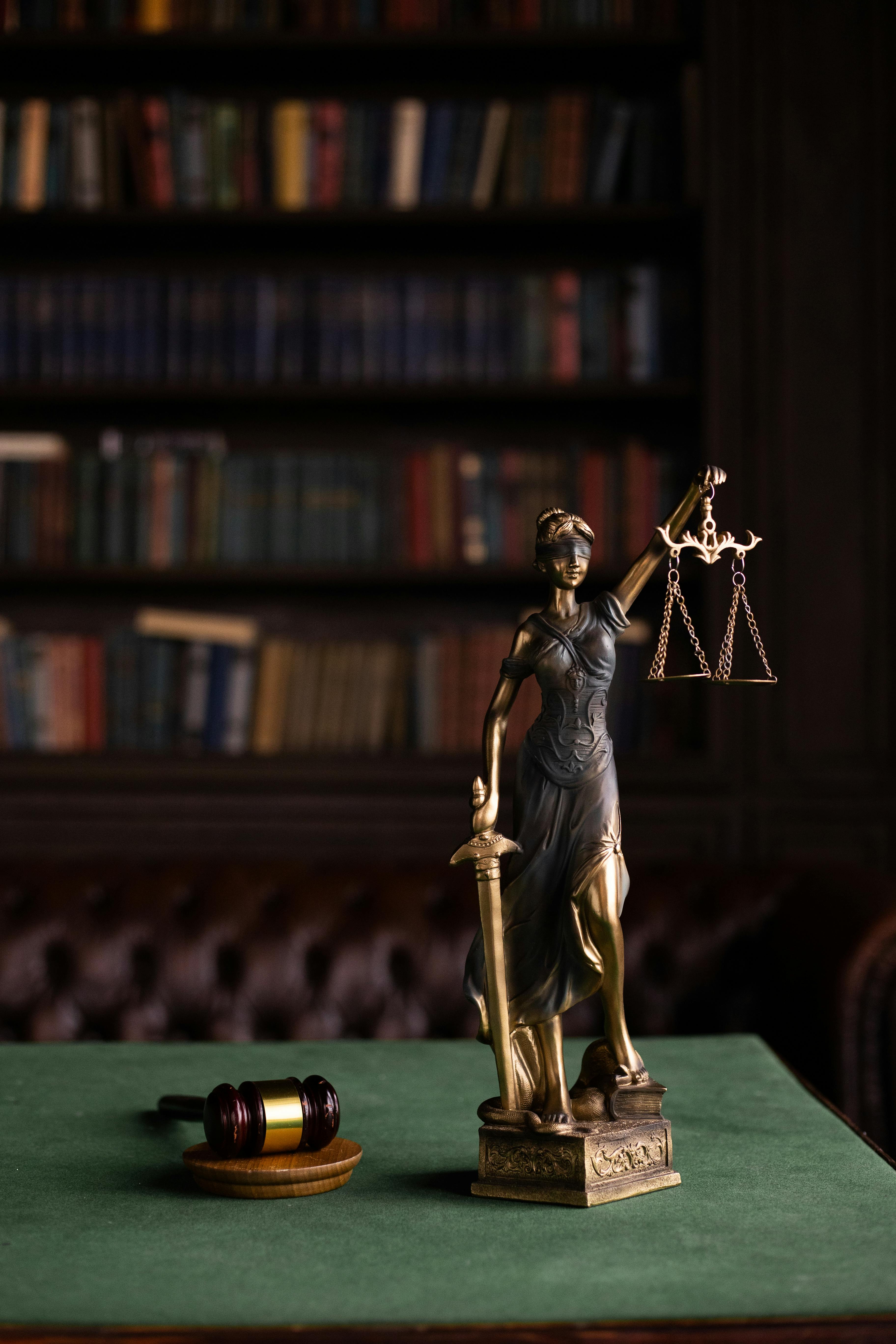 Professional lawyer portrait